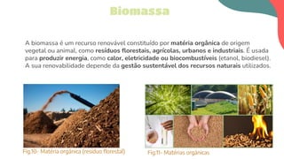 A biomassa é um recurso renovável constituído por matéria orgânica de origem
vegetal ou animal, como resíduos ﬂorestais, agrícolas, urbanos e industriais. É usada
para produzir energia, como calor, eletricidade ou biocombustíveis (etanol, biodiesel).
A sua renovabilidade depende da gestão sustentável dos recursos naturais utilizados.
Biomassa
Fig.10- Matéria orgánica (resíduo florestal) Fig.11- Matérias orgánicas
 