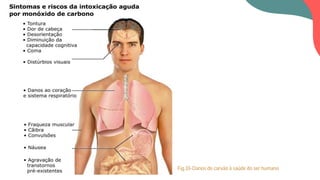 Fig.33-Danos do carvão à saúde do ser humano
 