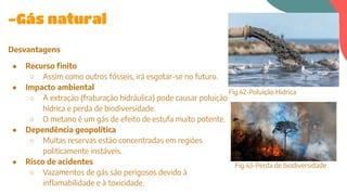 -Gás natural
Desvantagens
● Recurso finito
○ Assim como outros fósseis, irá esgotar-se no futuro.
● Impacto ambiental
○ A extração (fraturação hidráulica) pode causar poluição
hídrica e perda de biodiversidade.
○ O metano é um gás de efeito de estufa muito potente.
● Dependência geopolítica
○ Muitas reservas estão concentradas em regiões
politicamente instáveis.
● Risco de acidentes
○ Vazamentos de gás são perigosos devido à
inflamabilidade e à toxicidade.
Fig.42-Poluição Hídrica
Fig.43-Perda de biodiversidade
 