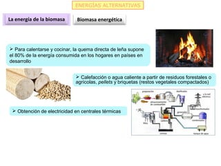 ENERGÍAS ALTERNATIVAS
La energía de la biomasa Biomasa energética
 Para calentarse y cocinar, la quema directa de leña su...