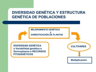 DIVERSIDAD GENÉTICA Y ESTRUCTURA
GENÉTICA DE POBLACIONES


             MEJORAMIENTO GENÉTICO
                           y
             DOMESTICACIÓN DE PLANTAS




DIVERSIDAD GENÉTICA                     CULTIVARES
o Variabilidad genética o
Germoplasma o RECURSOS
FITOGENÉTICOS

                                        Multiplicación
 