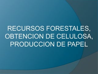 RECURSOS FORESTALES,
OBTENCION DE CELULOSA,
PRODUCCION DE PAPEL
 
