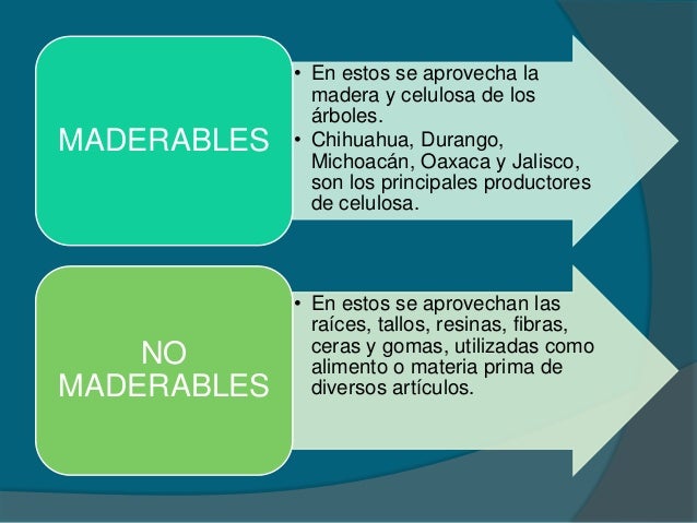 Recursos forestales, obtencion de celulosa, produccion de