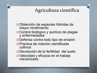 Agricultura científica 
OObtención de especies híbridas de 
mayor rendimiento 
OControl biológico y químico de plagas 
y enfermedades 
ODefensa contra todo tipo de erosión 
OPractica de rotación cientificade 
cultivos 
ODevolución de la fertilidad del suelo 
OVelocidad y eficacia en el trabajo 
mecanizado 
 