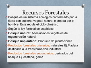 Recursos Forestales 
O Bosque es un sistema ecológico conformado por la 
tierra con cubierta vegetal natural o creada por el 
hombre. Este regula el ciclo climático 
O Según la ley forestal se establece: 
O Bosque natural: Asociaciones vegetales de 
regeneración natural 
O Bosque implantado: Producto de plantaciones 
O Productos forestales primarios: naturales Ej.Madera 
destinada a la transformación industrial 
O Productos forestales secundarios: derivados del 
bosque Ej. castaña, goma 
 