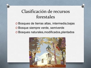 Clasificación de recursos 
forestales 
O Bosques de tierras altas, intermedia,bajas 
O Bosque siempre verde, semiverde 
O Bosques naturales,modificados,plantados 
 