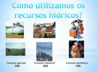 Consumo agrícola   Consumo industrial   Consumo doméstico
      70%                 20%                  10%
 