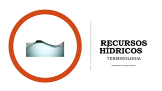 TERMINOLOGIA
RECURSOS
HÍDRICOS
Professor Henrique Pontes
 