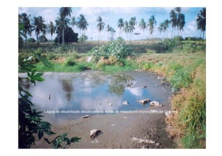 Lagoa de decantação desativada no fundo do matadouro municipal João Gravatá
  g             ç                                          p
 