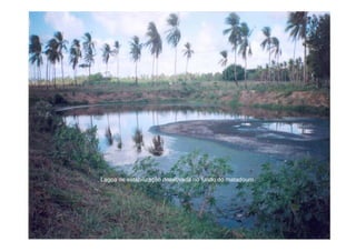 Lagoa de estabilização desativada no fundo do matadouro.
  g                ç
 