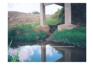 Rio do Coqueiro local q recebe os efluentes líquidos p
         q            que                     q      provenientes do matadouro.
 