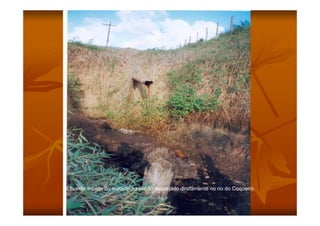 Efluente líquido do matadouro sendo despejado diretamente no rio do Coqueiro
 
