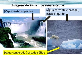 Imagens de água nos seus estados
(Vapor) estado gasoso

(Água congelada ) estado sólido

(Água corrente e parada )
estado liquido

 