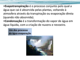 •Evapotranspiração é o processo conjunto pelo qual a
água que cai é absorvida pelas plantas, voltando à
atmosfera através da transpiração ou evaporação direta
(quando não absorvida).
•Condensação é a transformação do vapor de água em
água líquida, com a criação de nuvens e nevoeiro.
Um dos processo
da água evaporação

 