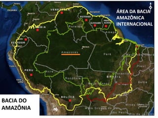 ÁREA DA BACIA
AMAZÔNICA
INTERNACIONAL

BACIA DO
AMAZÔNIA

 
