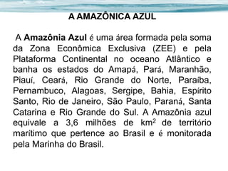 A AMAZÔNICA AZUL
A Amazônia Azul é uma área formada pela soma
da Zona Econômica Exclusiva (ZEE) e pela
Plataforma Continental no oceano Atlântico e
banha os estados do Amapá, Pará, Maranhão,
Piauí, Ceará, Rio Grande do Norte, Paraíba,
Pernambuco, Alagoas, Sergipe, Bahia, Espírito
Santo, Rio de Janeiro, São Paulo, Paraná, Santa
Catarina e Rio Grande do Sul. A Amazônia azul
equivale a 3,6 milhões de km2 de território
marítimo que pertence ao Brasil e é monitorada
pela Marinha do Brasil.

 
