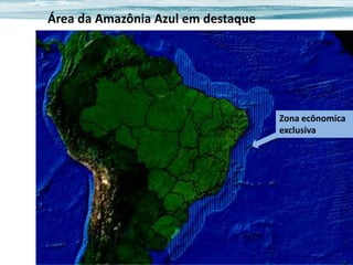 Área da Amazônia Azul em destaque

Zona ecônomica
exclusiva

 
