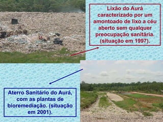 Lixão do Aurá
caracterizado por um
amontoado de lixo a céu
aberto sem qualquer
preocupação sanitária.
(situação em 1997).
Aterro Sanitário do Aurá,
com as plantas de
bioremediação. (situação
em 2001).
 