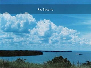 Rio Sucuriu 
