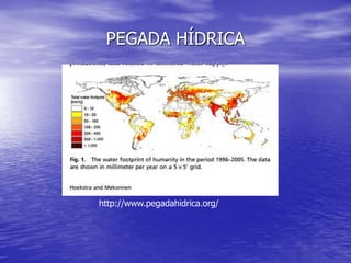 PEGADA HÍDRICA
http://www.pegadahidrica.org/
http://www.pegadahidrica.org/
 