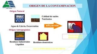 ORIGEN DE LA CONTAMINACION
Residuos domésticosResiduos Industriales
Líquidos
Agua de Lluvia, Escorrentías
Fuentes Puntuales
Fuentes Dispersas
Origen Natural
Origen Antropogénico
Calidad de suelos
Nutrientes
AGUAS PORTADORAS DE RESIDUOS
 