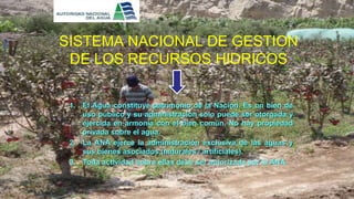 SISTEMA NACIONAL DE GESTION
DE LOS RECURSOS HIDRICOS
1. El Agua constituye patrimonio de la Nación. Es un bien de
uso público y su administración solo puede ser otorgada y
ejercida en armonía con el bien común. No hay propiedad
privada sobre el agua.
2. La ANA ejerce la administración exclusiva de las aguas y
sus bienes asociados (naturales / artificiales).
3. Toda actividad sobre ellas debe ser autorizada por la ANA.
 