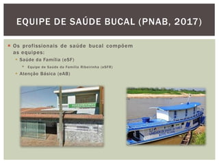  Os profissionais de saúde bucal compõem
as equipes:
 Saúde da Família (eSF)
 Equipe de Saúde da Família Ribeirinha (eSFR)
 Atenção Básica (eAB)
EQUIPE DE SAÚDE BUCAL (PNAB, 2017)
 