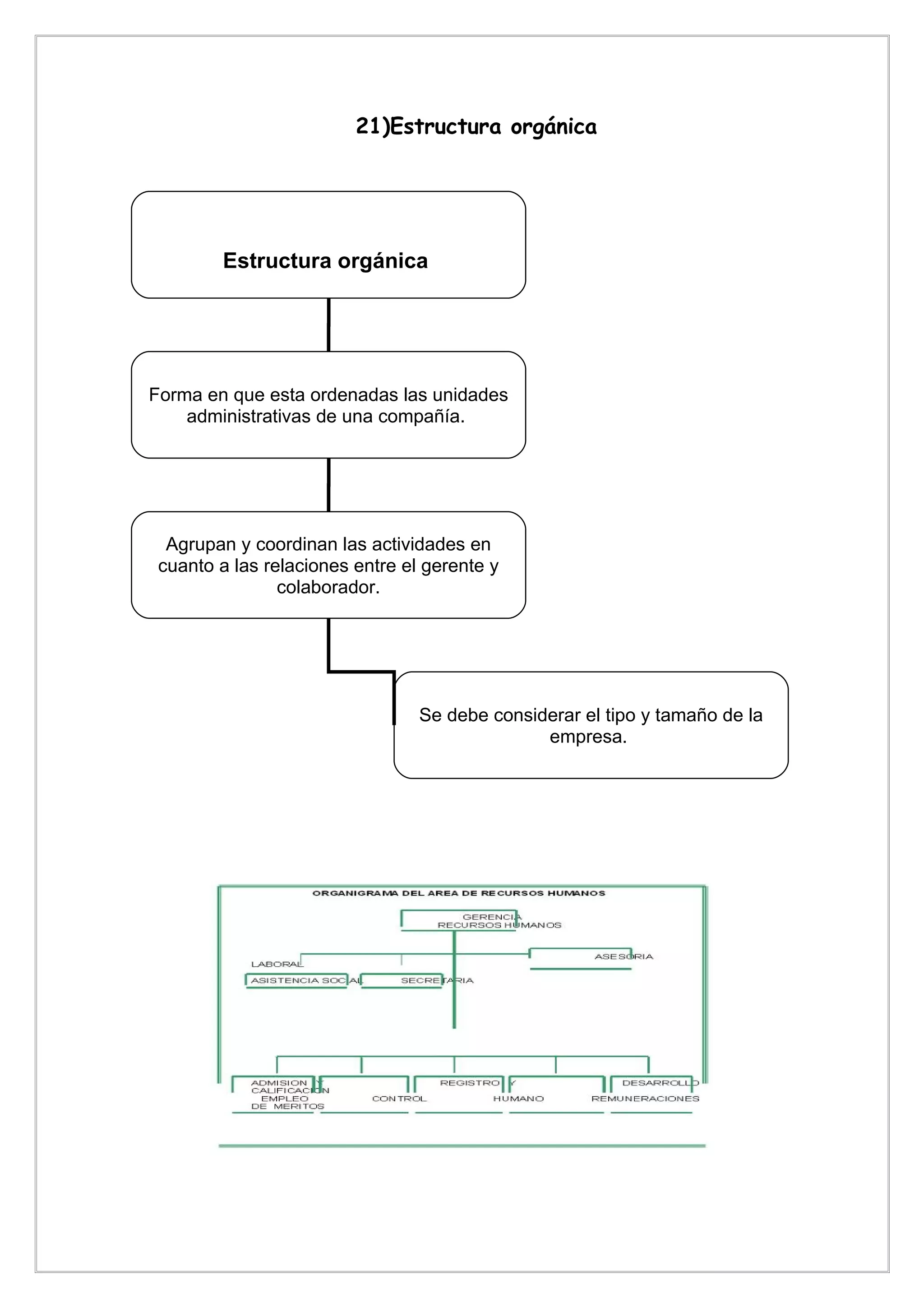 21)Estructura orgánica




        Estructura orgánica




Forma en que esta ordenadas las unidades
    administrativas de una compañía.




  Agrupan y coordinan las actividades en
 cuanto a las relaciones entre el gerente y
                colaborador.




                                 Se debe considerar el tipo y tamaño de la
                                               empresa.
 