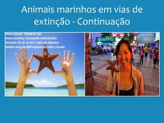 Animais marinhos em vias de
extinção - Continuação
 