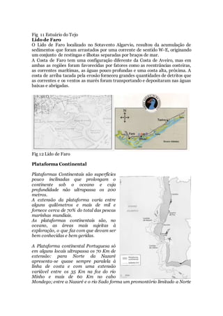 Fig 11 Estuário do Tejo
Lido de Faro
O Lido de Faro localizado no Sotavento Algarvio, resultou da acumulação de
sedimentos que foram arrastados por uma corrente de sentido W-E, originando
um conjunto de restingas e ilhotas separadas por braços de mar.
A Costa de Faro tem uma configuração diferente da Costa de Aveiro, mas em
ambas as regiões foram favorecidas por fatores como as reentrâncias costeiras,
as correntes marítimas, as águas pouco profundas e uma costa alta, próxima. A
costa de arriba tacada pela erosão forneceu grandes quantidades de detritos que
as correntes e os ventos as marés foram transportando e depositaram nas águas
baixas e abrigadas.
Fig 12 Lido de Faro
Plataforma Continental
Plataformas Continentais são superfícies
pouco inclinadas que prolongam o
continente sob o oceano e cuja
profundidade não ultrapassa os 200
metros.
A extensão da plataforma varia entre
alguns quilómetros e mais de mil e
fornece cerca de 70% do total das pescas
marinhas mundiais.
As plataformas continentais são, no
oceano, as áreas mais sujeitas à
exploração, o que faz com que devam ser
bem conhecidas e bem geridas.
A Plataforma continental Portuguesa só
em alguns locais ultrapassa os 70 Km de
extensão: para Norte da Nazaré
apresenta-se quase sempre paralela à
linha de costa e com uma extensão
variável entre os 35 Km na foz do rio
Minho e mais de 60 Km no cabo
Mondego; entre a Nazaré e o rio Sado forma um promontório limitado a Norte
 