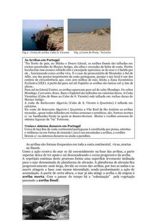 Fig.2 - Costa de arriba: Cabo S. Vicente Fig. 3 Costa de Praia : Torreira
As arribas são formas frequentes em toda a costa continental, vivas, mortas
ou fósseis.
Como a ação erosiva do mar se dá essencialmente na base das arribas, a parte
superior deixa de ter apoio e cai desencadeando o recuo progressivo da arriba.
A repetição continua deste processo forma uma superfície levemente inclinada
para o mar denominada de plataforma de abrasão. A plataforma de abrasão fica
progressivamente mais larga, devido ao recuo das arribas, por isso as ondas e as
marés atingem a base com menos intensidade, sendo predominante a ação de
acumulação. A partir de certa altura, o mar já não atinge a arriba e dá origem à
arriba morta. Com o passar do tempo há a “colonização” pela vegetação
passando a arriba fóssil.
As Arribas em Portugal
“No Norte do país, no Minho e Douro Litoral, as arribas fósseis são talhadas em
rochas granitoides do Maçiço Antigo, são altas e recuadas da linha de costa. Porém
localmente esse mesmo rebordo alto e escarpado aproxima-se do mar e é batido por
ele , funcionando como arriba viva. É o caso do promontório de Montedor a Sul de
Afife, um dos pontos importantes da costa portuguesa, porque o seu farol é um dos
centros de circunferência que, com 200 milhas de raio, limita a Zona Económica
Exclusiva (ZEE). A partir dai para sul até Espinho as arribas são baixas até 5-6m de
altura..
Para sul no Litoral Centro, as arribas aparecem para sul do cabo Mondego. Os cabos
Mondego, Carvoeiro, Roca, Raso e Espichel são talhados em calcários duros. A Costa
Vicentina (Cabo de Sines ao Cabo de S. Vicente) está talhada em rochas duras do
Maciço Antigo.
A costa do Barlavento Algarvio (Cabo de S. Vicente à Quarteira) é talhada em
calcários.
Na costa do Sotavento Algarvio ( Quarteira a Vila Real de Sto António as arribas
recuadas , quase todas talhadas em rochas arenosas e areniticas, são, formas mortas
e/ ou fossilizadas frente às quais se desenvolveram ilhotas e cordões arenosos do
sistema lagunar da “ria” Formosa.
Praias e sistema dunares em Portugal
Cerca de 645 Km da costa continental portuguesa é constituída por praias, estreitas
e retilíneas ou em forma de enseada ( arco) ora encostadas a arribas, a cordões
litorais e/ ou sistemas dunares ou ainda a paredões.
 