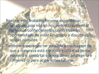 Conclusão Realizar este trabalho foi uma experiência agradável pois não só nos permitiu aumentar os nossos conhecimentos como tivemos oportunidade de estar em grupo a discutir as nossas opiniões. Também esperamos ter passado a mensagem de que a Natureza está em risco e não é só desta maneira e  como tal é nosso dever protege-la e conserva-la para as gerações futuras. 
