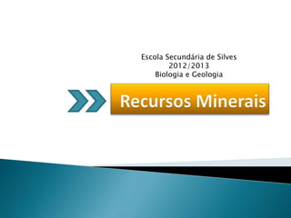 Escola Secundária de Silves
2012/2013
Biologia e Geologia
 