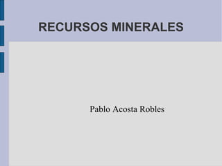 RECURSOS MINERALES 
Pablo Acosta Robles 
 
