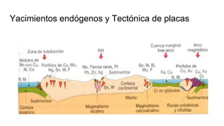 Yacimientos endógenos y Tectónica de placas
 
