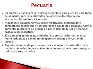  Os animais criados em cativeiro representam para alem de uma fonte
de alimento, recursos utilizados na industria do calçado, do
vestuários, farmacêutica e outras.
 Atualmente existem normas sobre medicação, alimentação e
alimentação animal que visam proteger a saúde dos cidadãos. Com o
aumento da procura de pescado a pesca deixou de ser artesanal e
passou a ser industrial.
 São pescadas grandes quantidades, e algumas redes tem malhas
muito reduzidas e sendo assim apanham alguns animais ainda
juvenis.
 Algumas técnicas de pesca como por exemplo o arrastal destroem
habitats, as redes de pesca abandonadas constituem uma ameaça a
todos os seres marinhos.
 