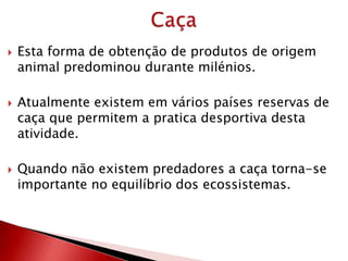  Esta forma de obtenção de produtos de origem
animal predominou durante milénios.
 Atualmente existem em vários países reservas de
caça que permitem a pratica desportiva desta
atividade.
 Quando não existem predadores a caça torna-se
importante no equilíbrio dos ecossistemas.
 