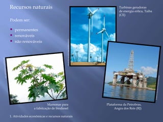 ARAQUÉM ALCÂNTARA/SAMBAPHOTO 
Turbinas geradoras 
de energia eólica, Taiba 
(CE) 
Recursos naturais 
Podem ser: 
 permanentes 
 renováveis 
 não renováveis 
1. Atividades econômicas e recursos naturais 
Plataforma da Petrobras, 
Angra dos Reis (RJ) 
Mamonas para 
a fabricação de biodiesel 
 