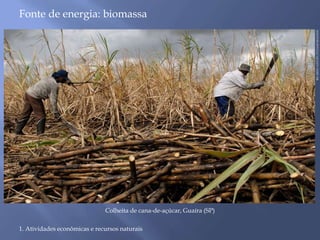 RICARDO AZOURY/PULSAR IMAGENS 
Fonte de energia: biomassa 
Colheita de cana-de-açúcar, Guaíra (SP) 
1. Atividades econômicas e recursos naturais 
 