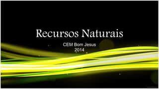Recursos Naturais 
CEM Bom Jesus 
2014 
 
