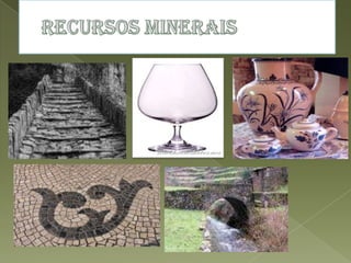 Recursos Naturais Powerpoint