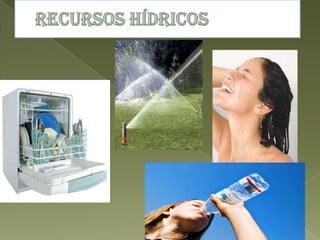 Recursos Naturais Powerpoint