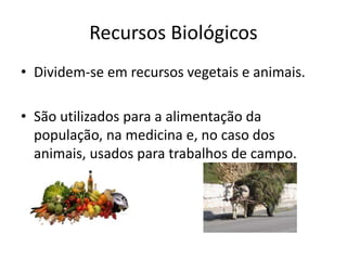 Recursos Biológicos
• Dividem-se em recursos vegetais e animais.
• São utilizados para a alimentação da
população, na medicina e, no caso dos
animais, usados para trabalhos de campo.

 