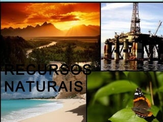 RECURSOS
NATURAIS
 