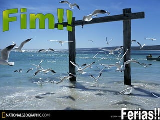 Fim!! Ferias!! 