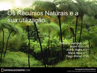 Os Recursos Naturais e a sua utilização Trabalho realizado por:  André Riso nº5 Joana Matos nº11 Maria Maia nº17 Tiago Afonso nº25 