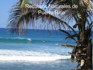 Recursos Naturales de Puerto Rico 