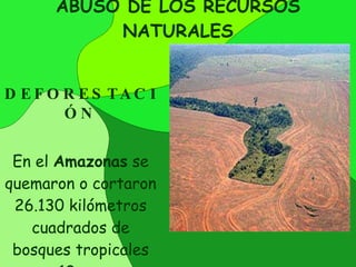 ABUSO DE LOS RECURSOS NATURALES DEFORESTACIÓN En el  Amazonas  se quemaron o cortaron 26.130 kilómetros cuadrados de bosques tropicales en 12 meses (superficie de Galicia).  