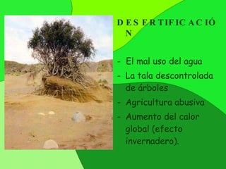 DESERTIFICACIÓN -  El mal uso del agua La tala descontrolada de árboles Agricultura abusiva Aumento del calor global (efecto invernadero). 