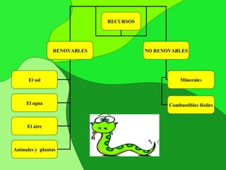 RECURSOS RENOVABLES NO RENOVABLES El sol El agua El aire Animales y  plantas Combustibles fósiles Minerale s 